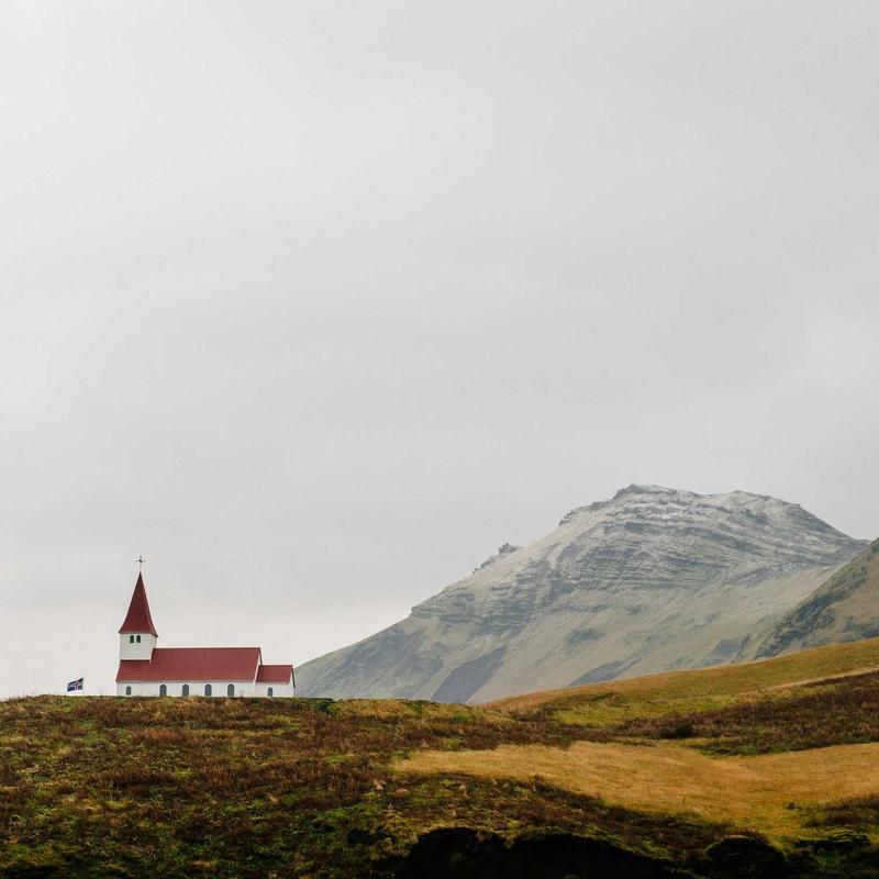 Дельфиниум 'Blue Bird'