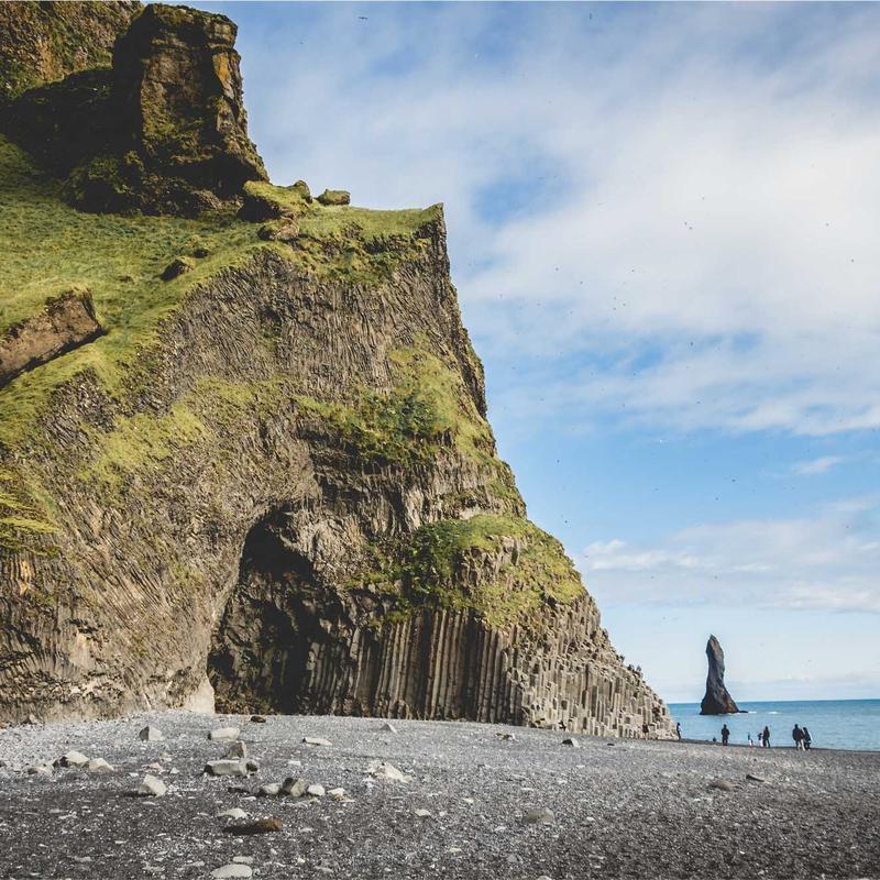 Гербера 'Festival Mix'
