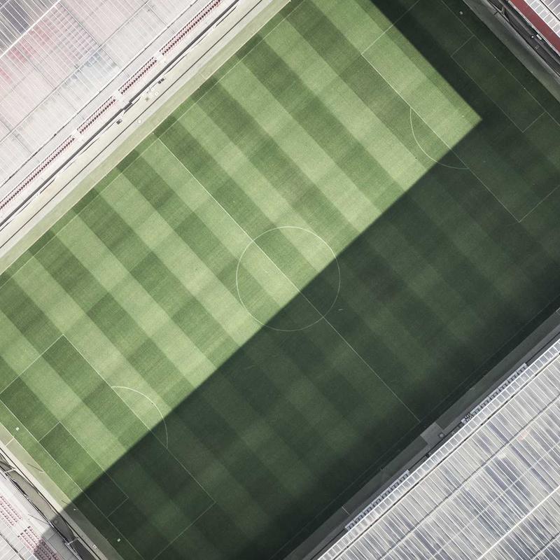 Космея 'Sensation Mix'